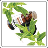 Omnia Bene Direct Hit EXTRA drops bottle among fresh green herb leaves.
